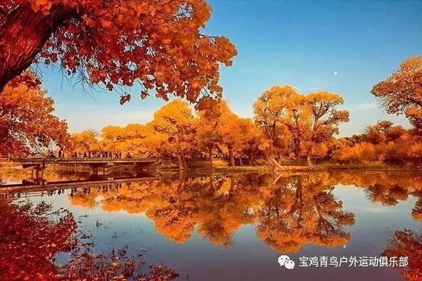 蓝狐视频