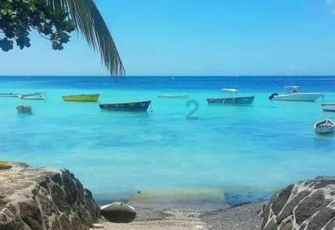 黄河壶口段流凌堆积，景区临时关闭