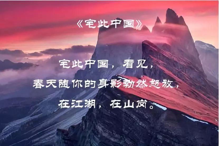 白色森林逃脱